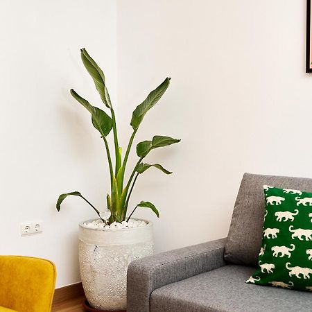 Que Bueno Que Viniste Caceres Apartment Ngoại thất bức ảnh
