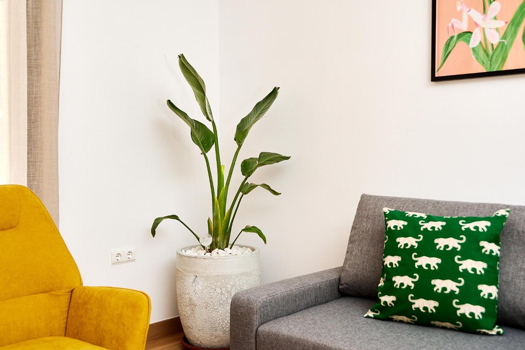 Que Bueno Que Viniste Caceres Apartment Ngoại thất bức ảnh